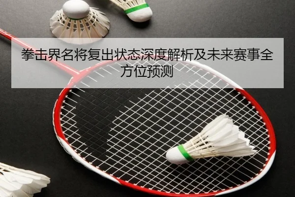 拳击界名将复出状态深度解析及未来赛事全方位预测
